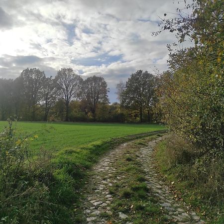 Lazurowa Prowansja - Agroturystyka Villa Toscana Boleslawiec  Eksteriør bilde