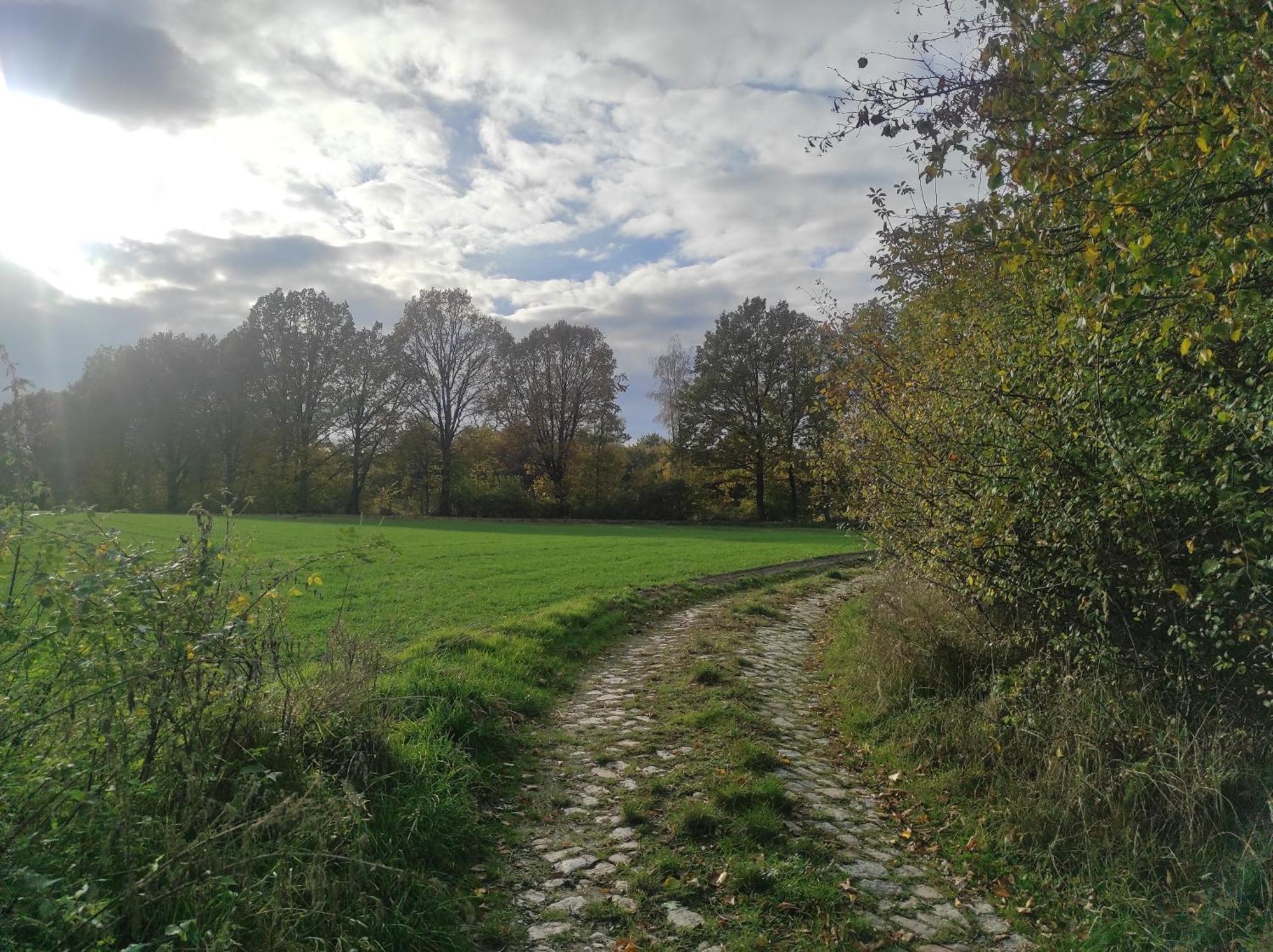 Lazurowa Prowansja - Agroturystyka Villa Toscana Boleslawiec  Eksteriør bilde